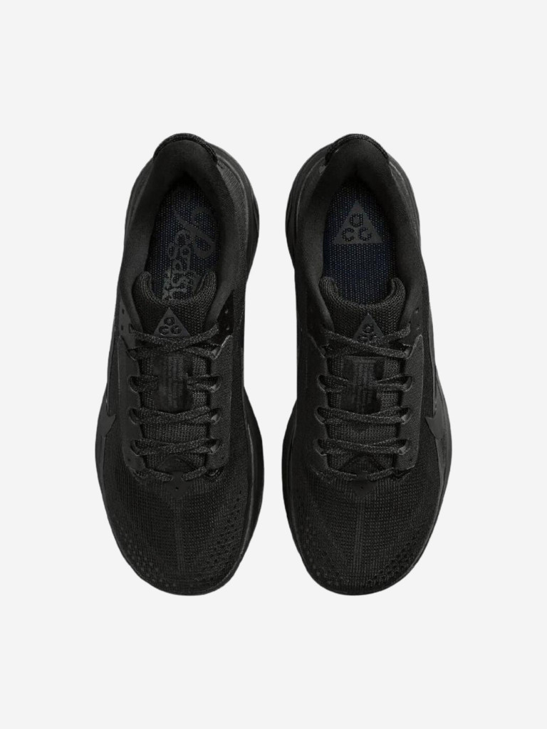 Кроссовки мужские Nike ACG Pegasus Trail
