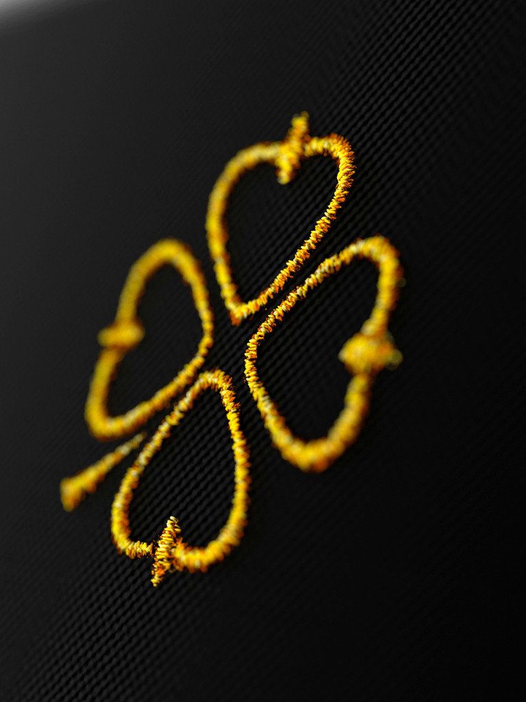 Шорты двойные SPSM