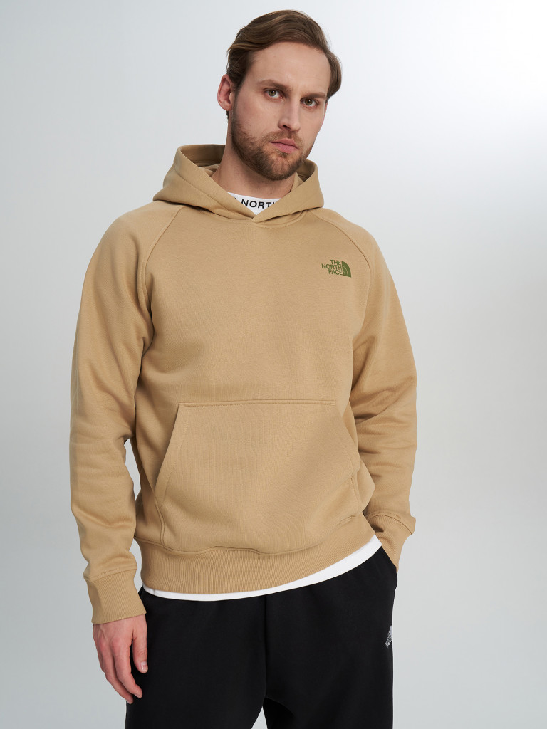 Худи мужское The North Face