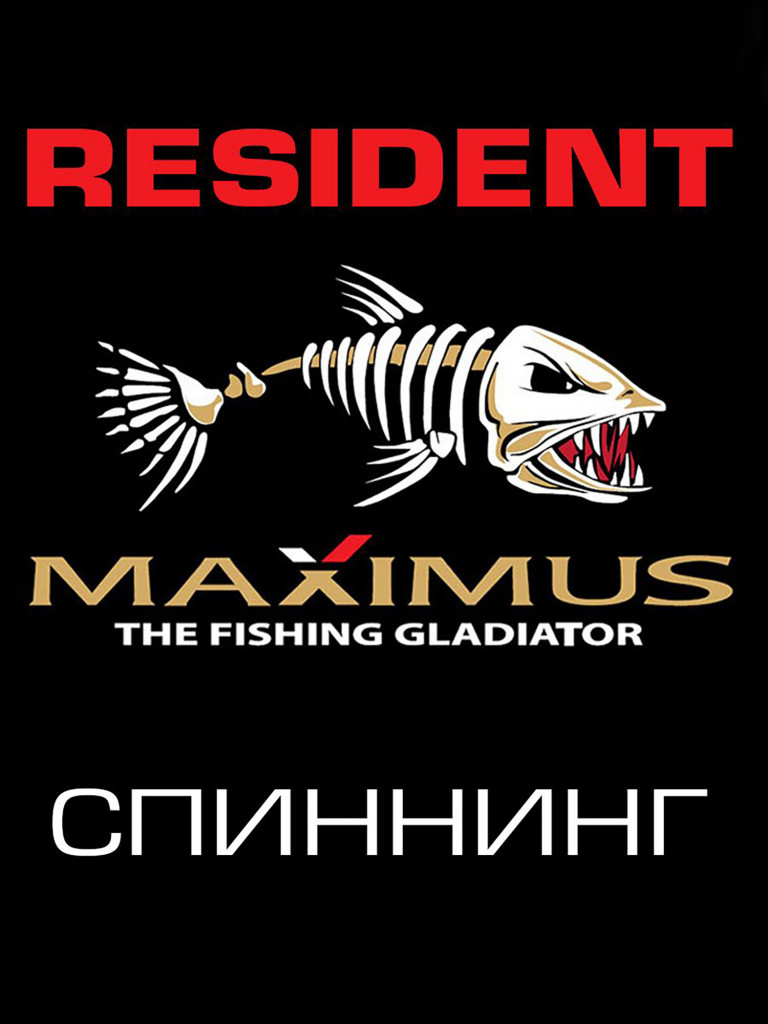 Спиннинг для рыбалки Maximus RESIDENT 27H 2,7m 20-60g