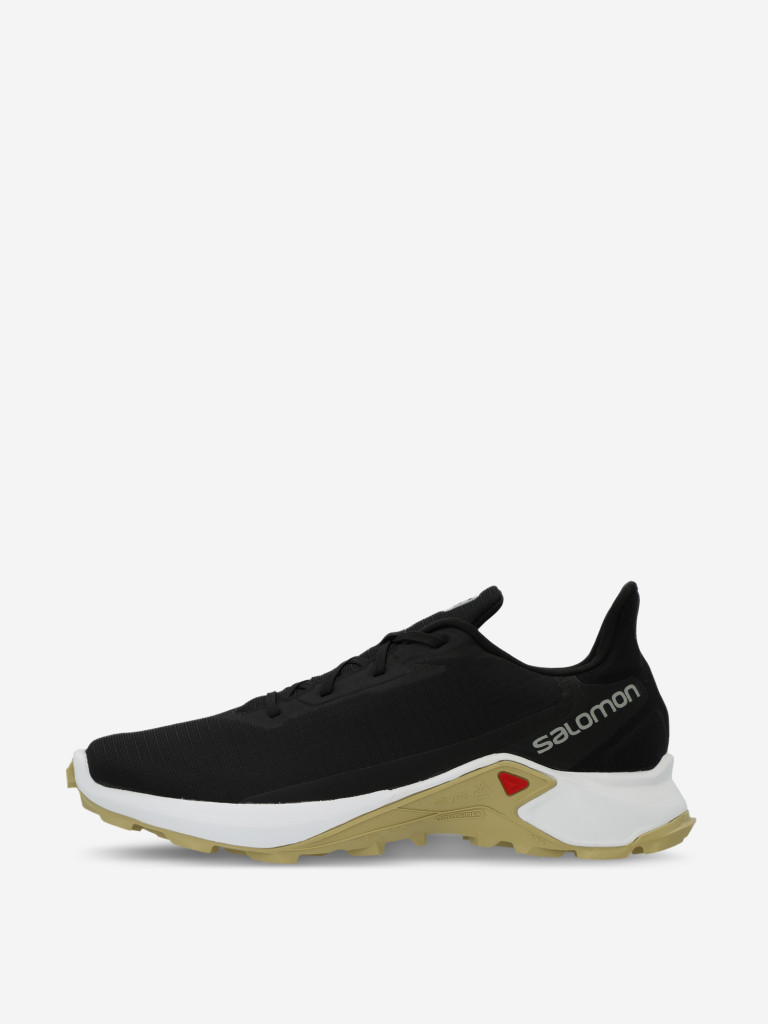 Кроссовки мужские Salomon Alphacross 3