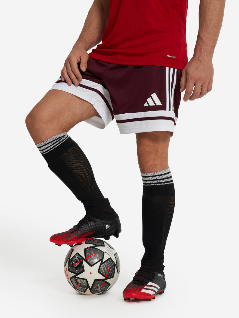 Шорты мужские adidas Squa25 Красный 1499₽