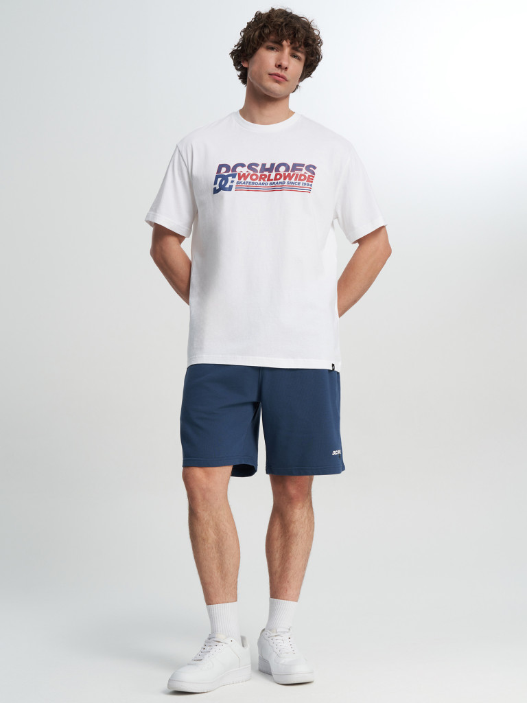 Футболка мужская DC Shoes Queltra