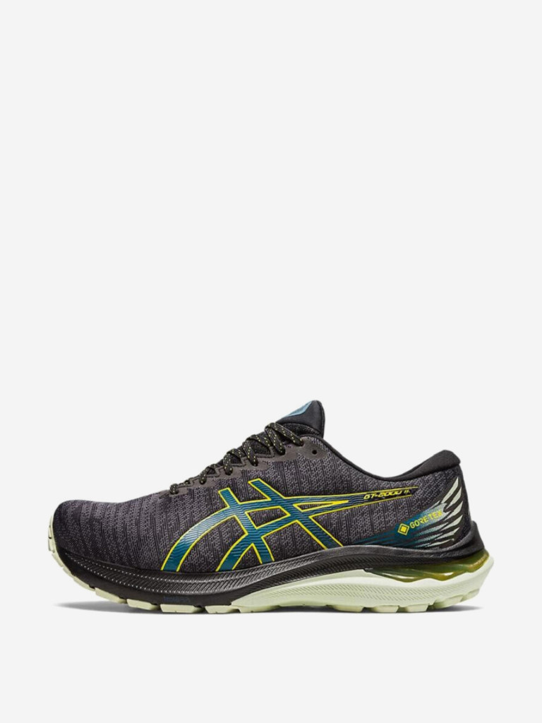 Кроссовки мужские ASICS GT 2000 11 GORE TEX