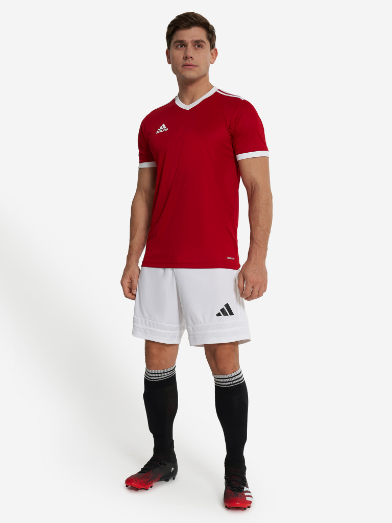 Шорты мужские adidas Squa25