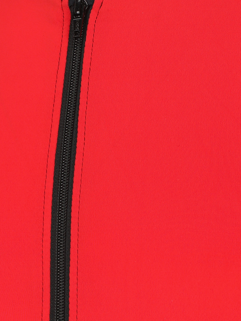 Защита спины Dainese Auxagon