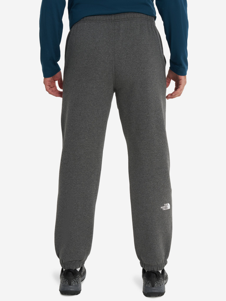 Брюки мужские The North Face Varsity Graphic