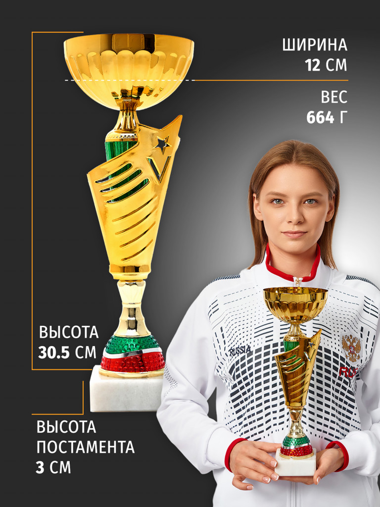 Спортивный кубок для награждения победителя 33.5 см