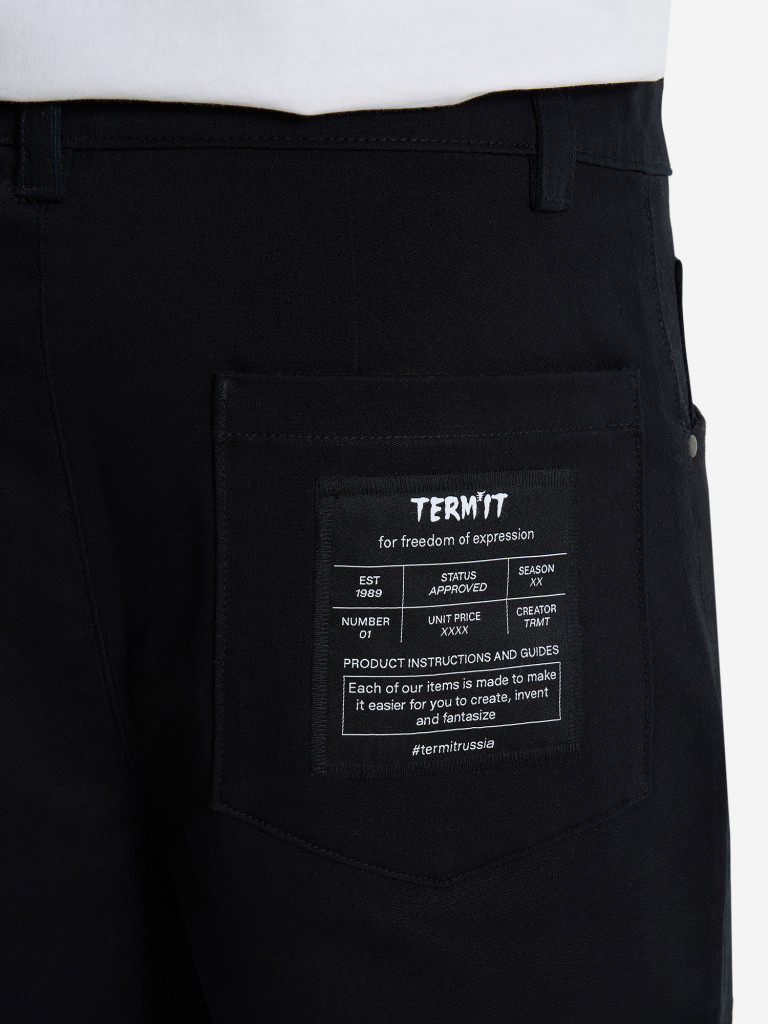 Брюки мужские Termit
