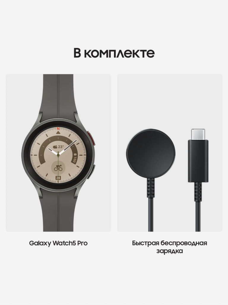 Смарт-часы Samsung Galaxy Watch5 Pro серый титан