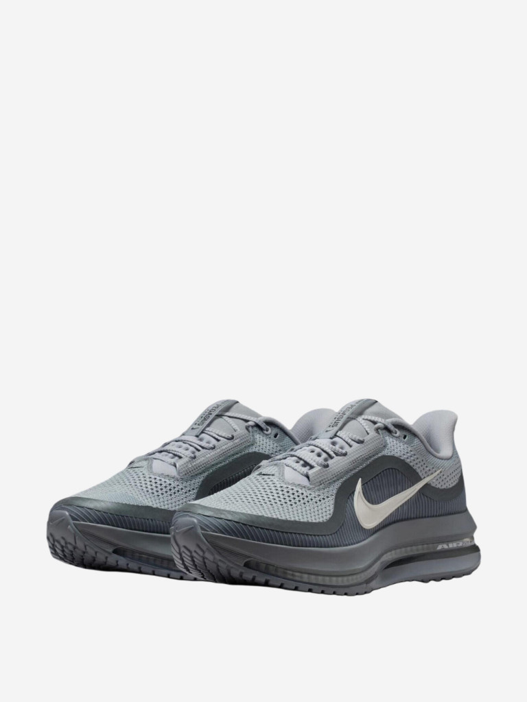 Кроссовки мужские Nike Pegasus Premium