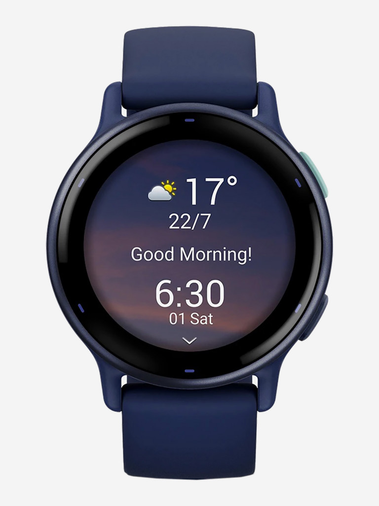 Спортивные часы Garmin Vivoactive 5 Metallic Navy