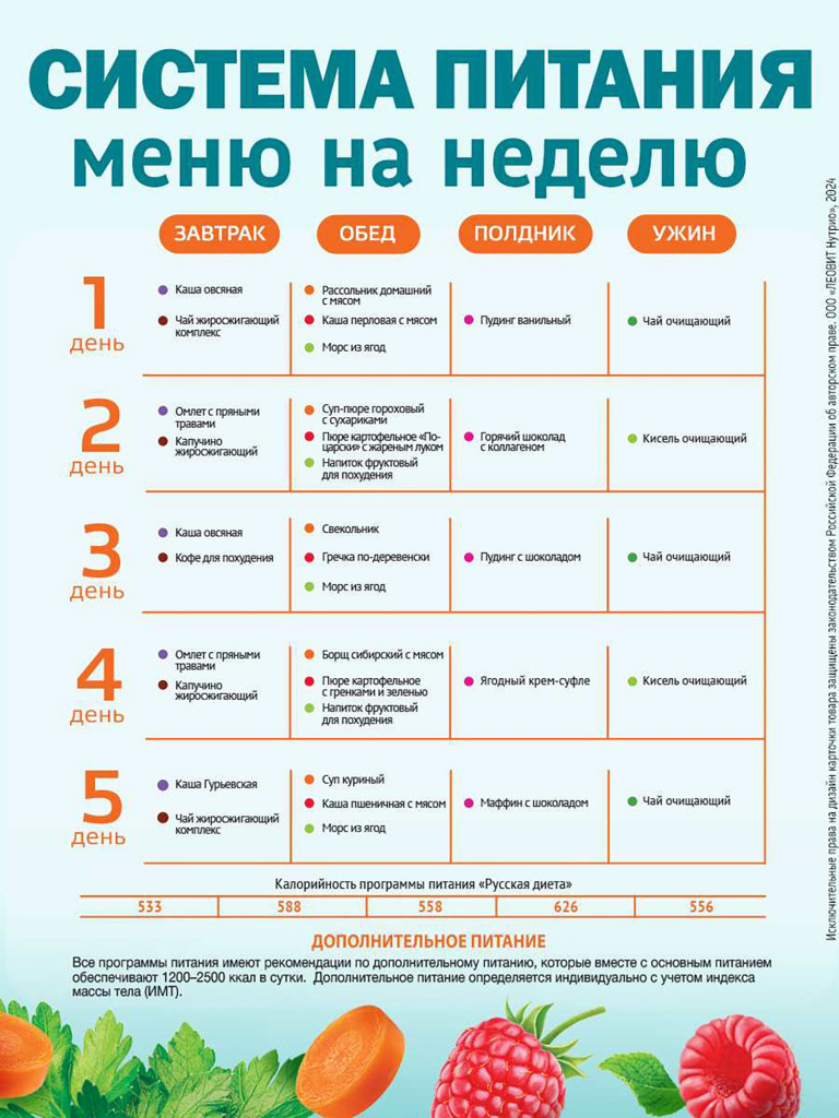 Русская диета диетического питания ЛЕОВИТ Кейс