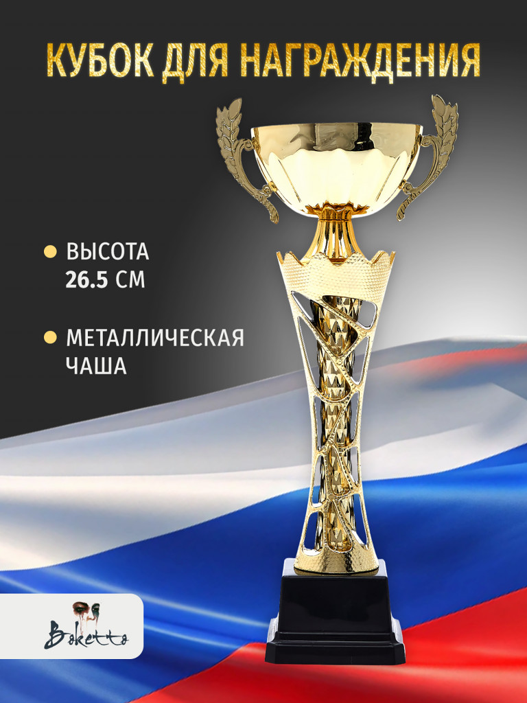 Спортивный кубок для награждения победителя 26.5 см