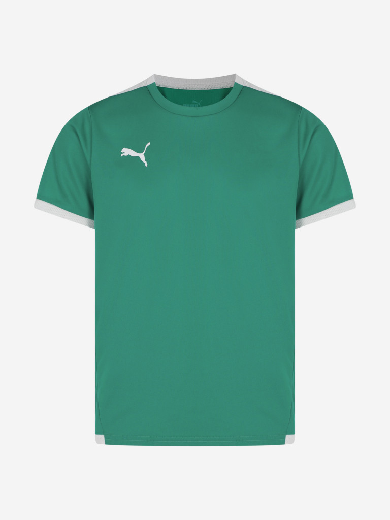 Футболка для мальчиков PUMA Teamliga Jersey Jr