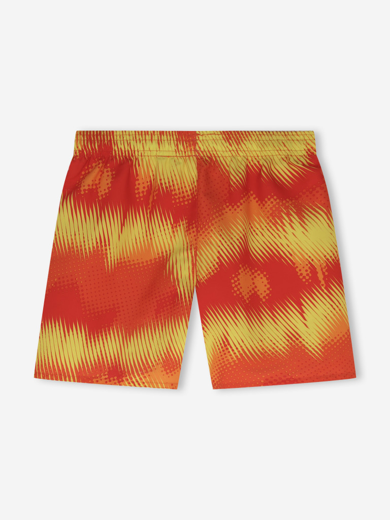 Шорты плавательные для мальчиков Joss