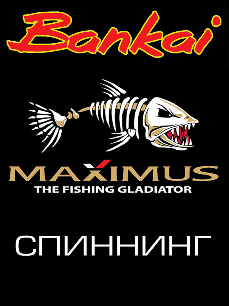 Спиннинг для рыбалки Maximus Bankai 24H 2,4m 20-60g