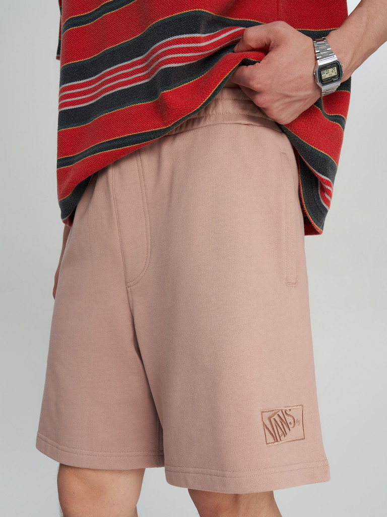 Шорты мужские Vans Blocked Box