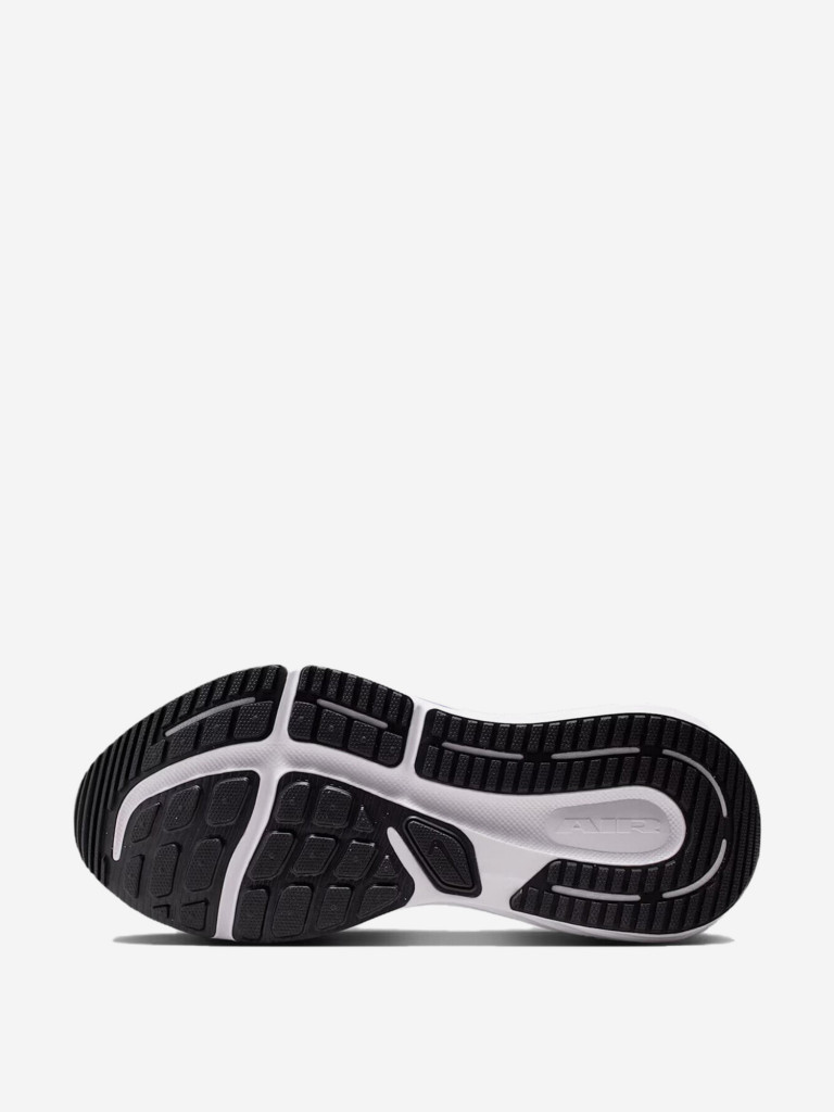 Кроссовки мужские Nike Winflo 12
