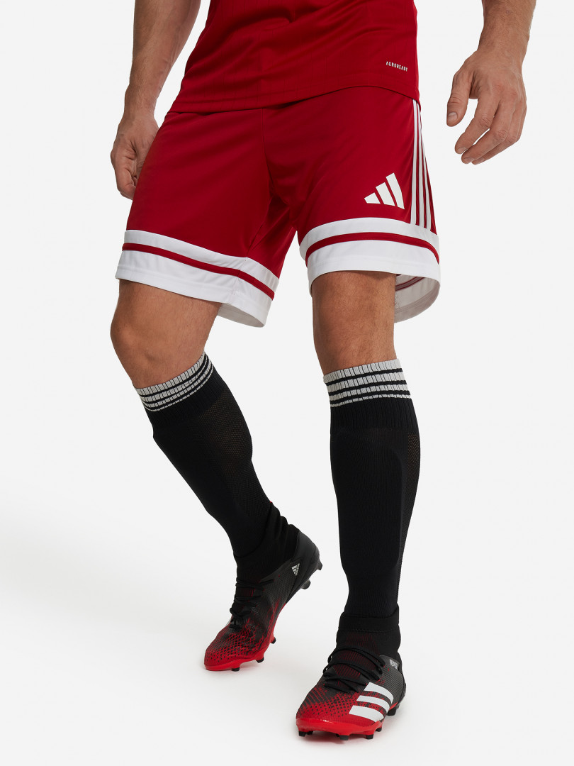 Шорты мужские adidas Squa25 Красный 2699₽