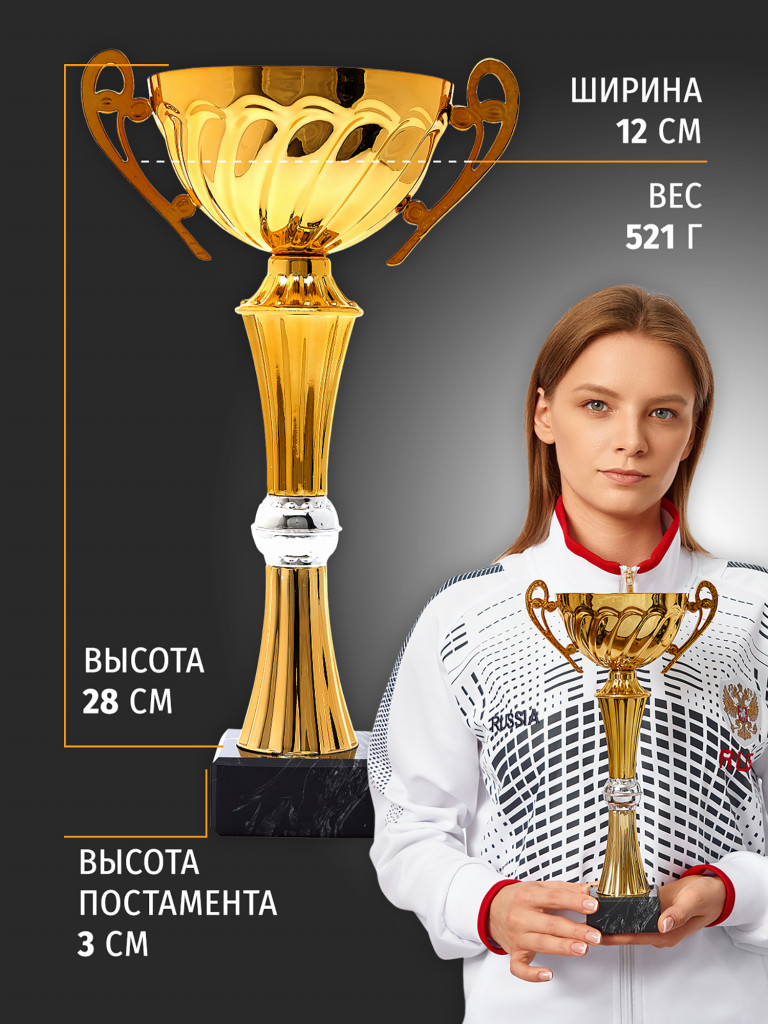 Кубок спортивный для награждения победителей 31 см