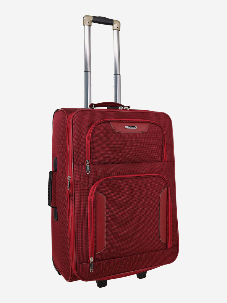 Чемодан RION+ L