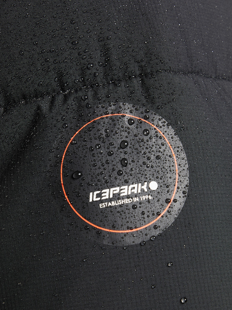 Куртка утепленная мужская IcePeak Bristol