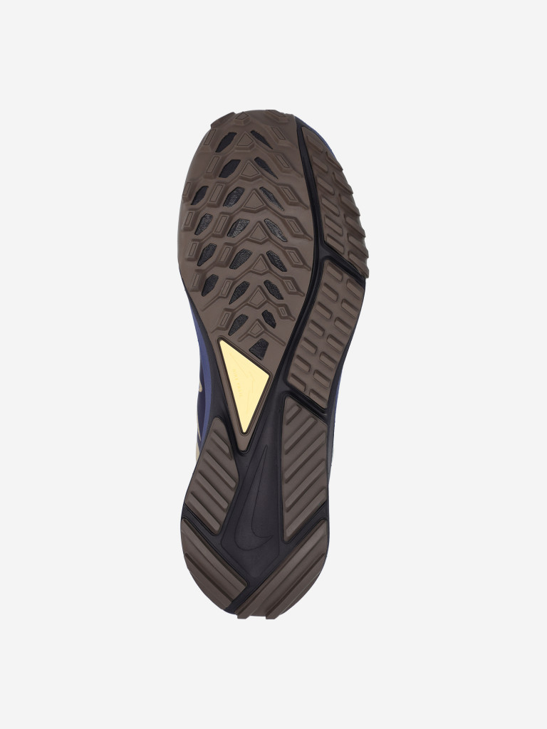 Кроссовки мужские Nike Pegasus Trail 4 Gore-Tex