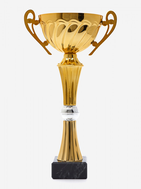 Кубок спортивный для награждения победителей 31 см