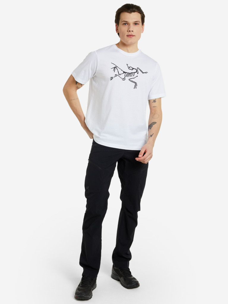 Брюки мужские Arc'teryx Palisade