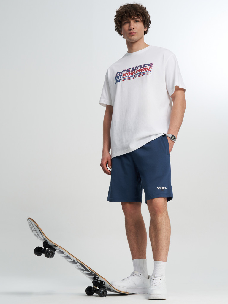 Шорты мужские DC Shoes Vantura