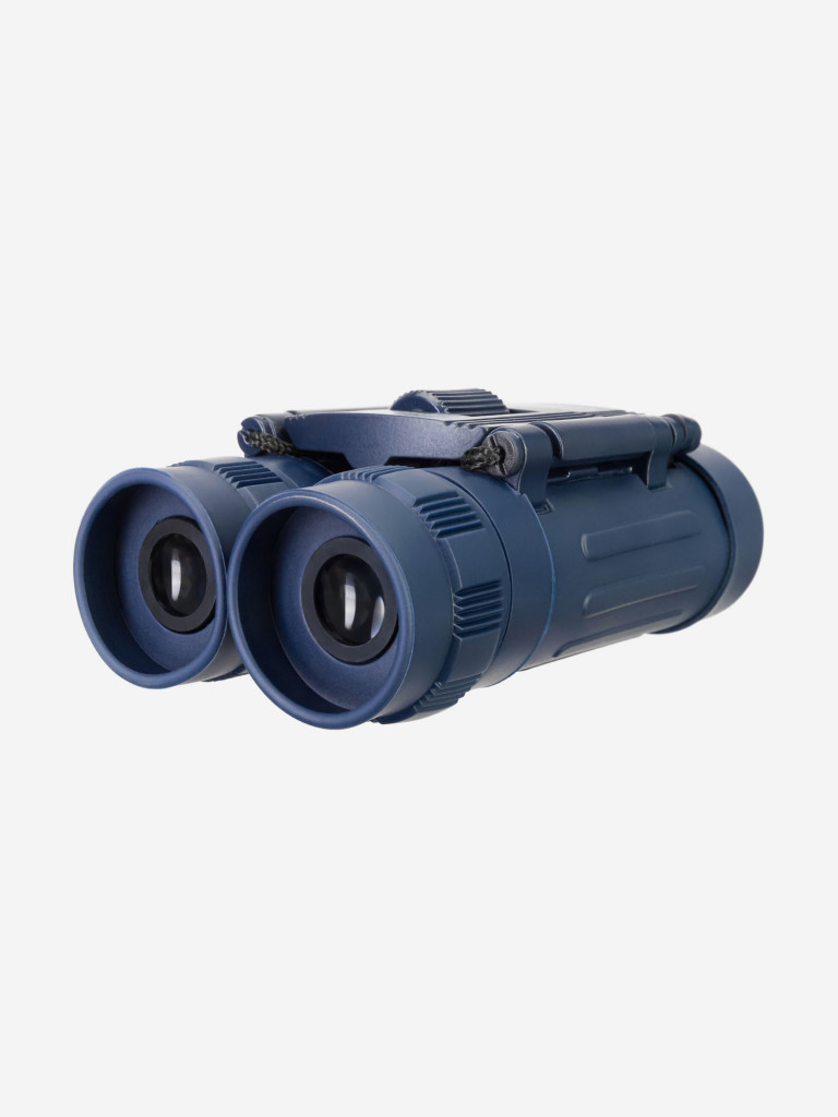 Бинокль Levenhuk Discovery Basics BB 8x21