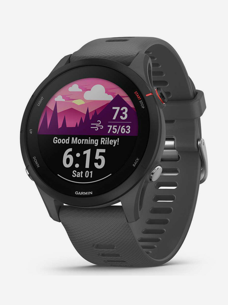 Спортивные часы Garmin Forerunner 255 с серым ремешком