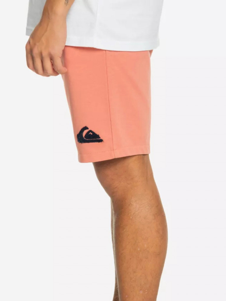 Шорты мужские QUIKSILVER Solid Volley