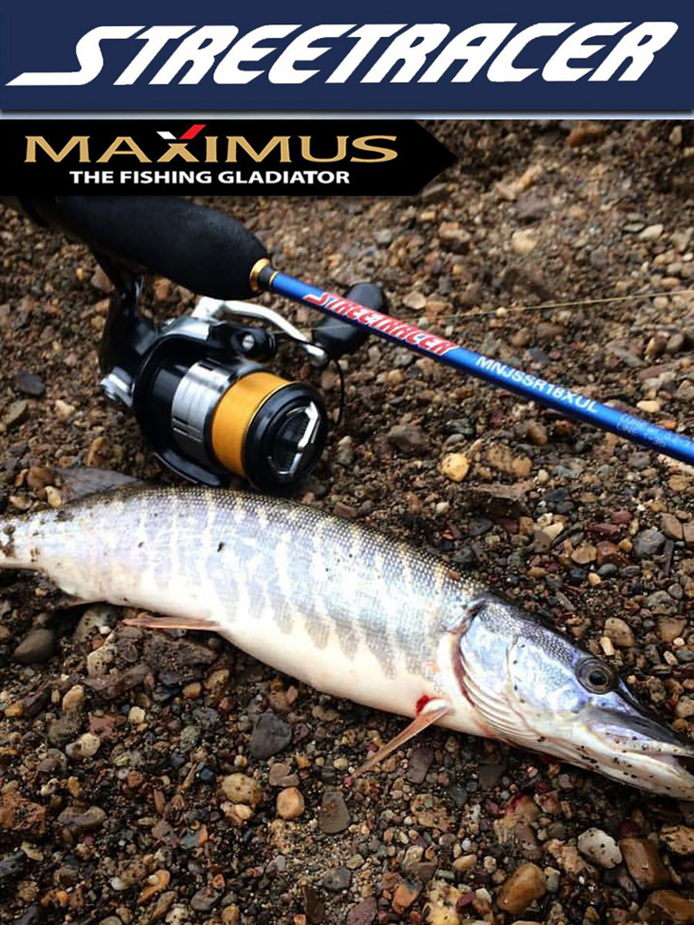 Спиннинг для рыбалки Maximus STREETRACER 19L 1,9m 3-12g твичинговое