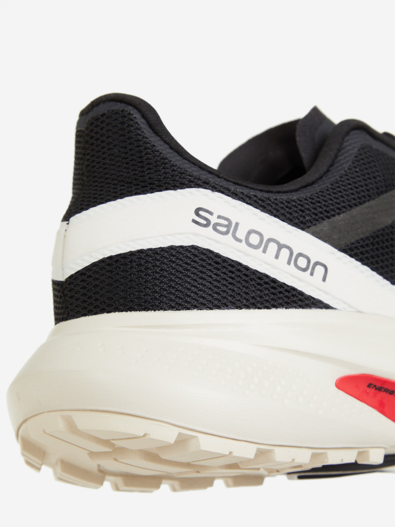 Кроссовки мужские Salomon Hypulse