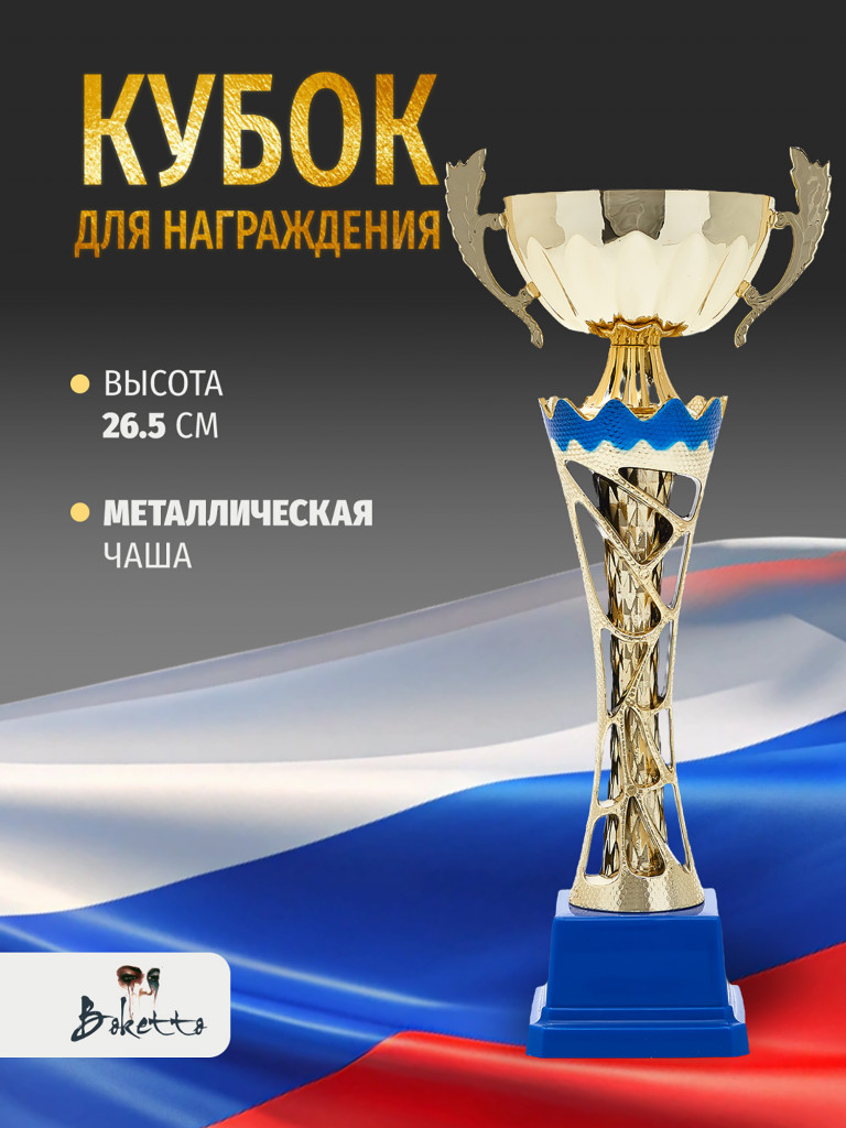 Спортивный кубок для награждения победителя 26.5 см