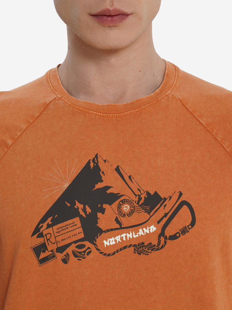 Футболка мужская Northland