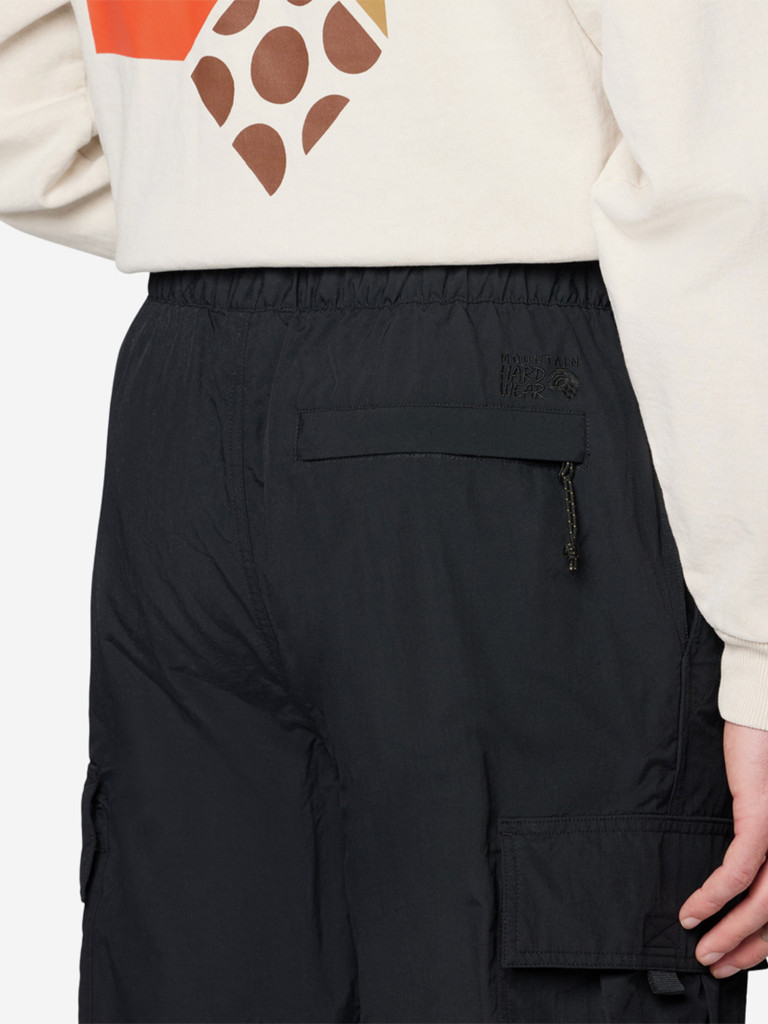 Брюки мужские Mountain Hardwear Stryder Lined Pant
