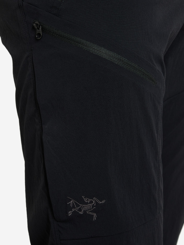 Брюки мужские Arc'teryx Palisade