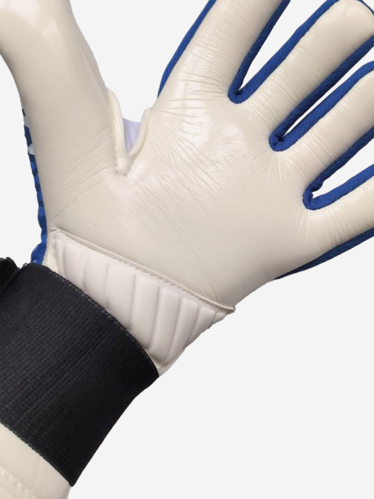 Вратарские перчатки Northstein Tactix NBL4, синие
