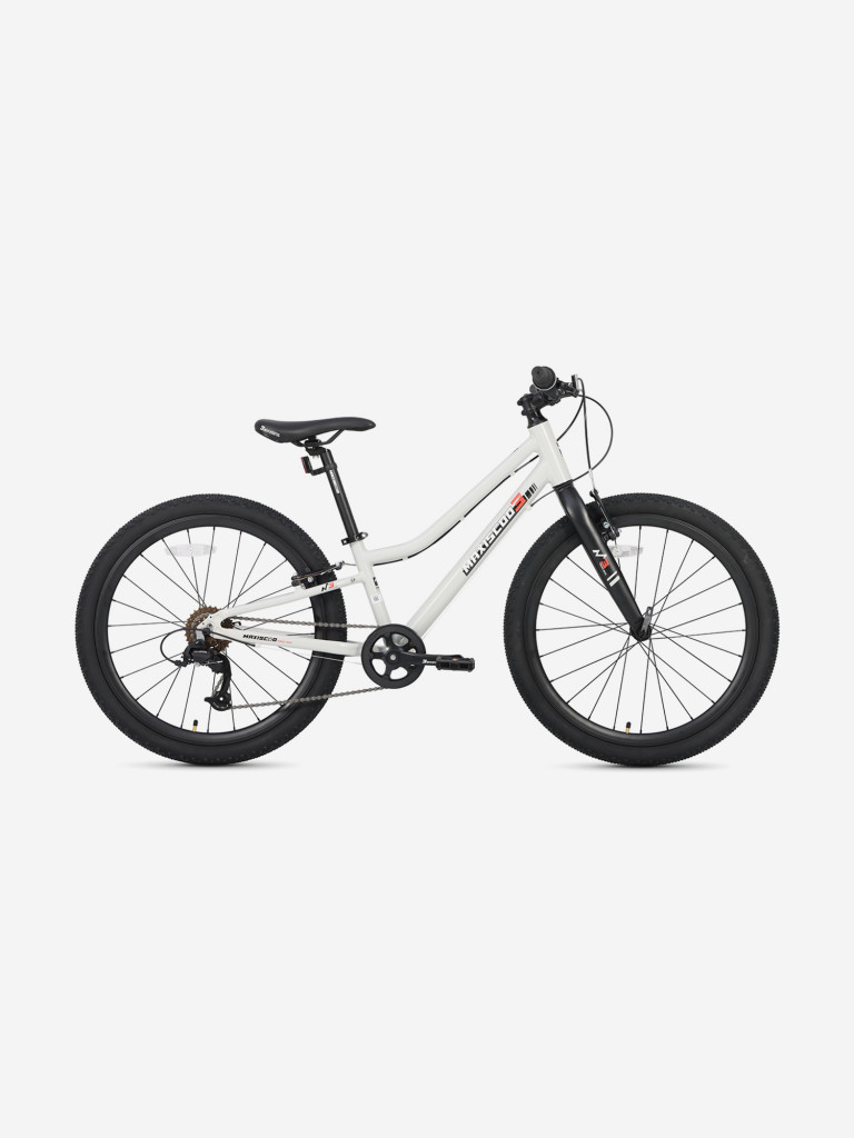 Велосипед детский Maxiscoo 3BIKE 24'' L, серый, 2025