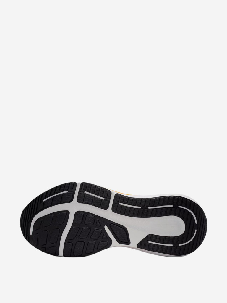 Кроссовки мужские Nike Winflo 12