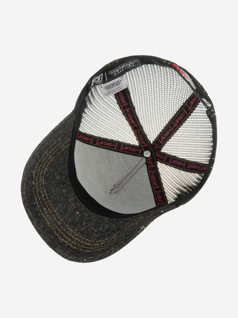 Бейсболка с сеточкой CAPSLAB CL/LOO2/1/MIN1 Looney Tunes Sylvester