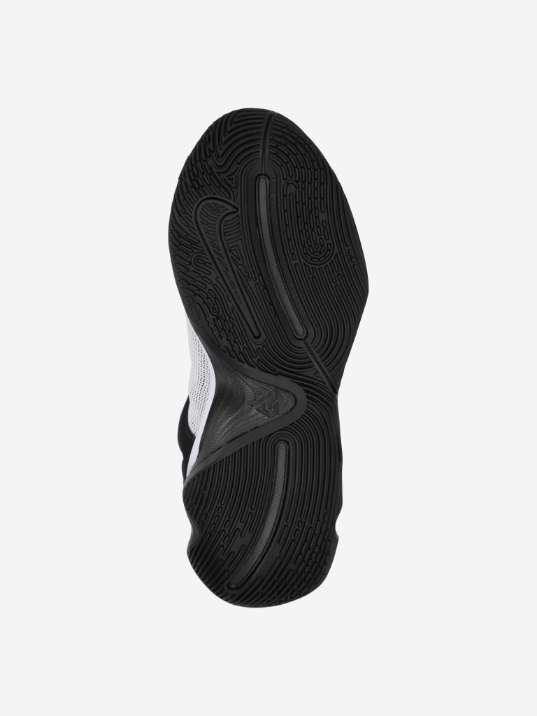 Кроссовки мужские Nike Giannis Immortality 3 "Made In Sepolia"