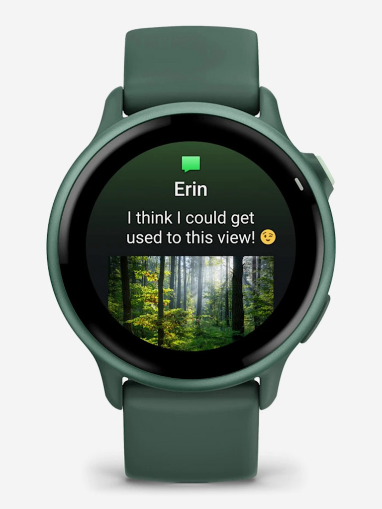 Спортивные часы GARMIN Vivoactive 6