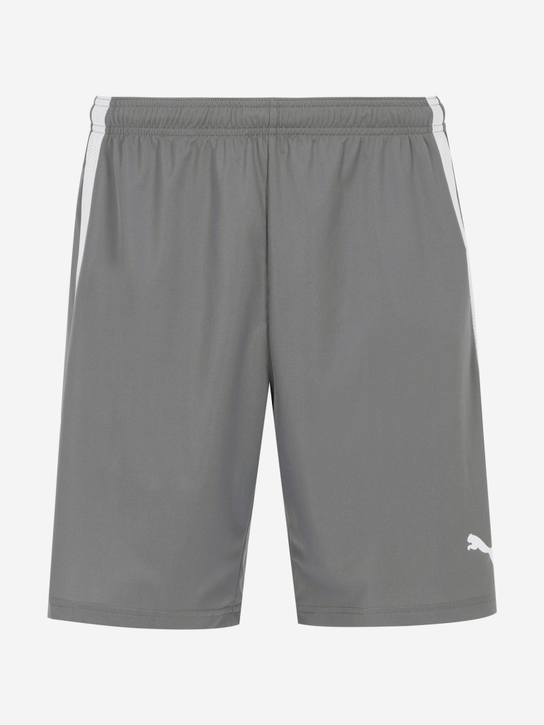 Шорты мужские PUMA teamLIGA