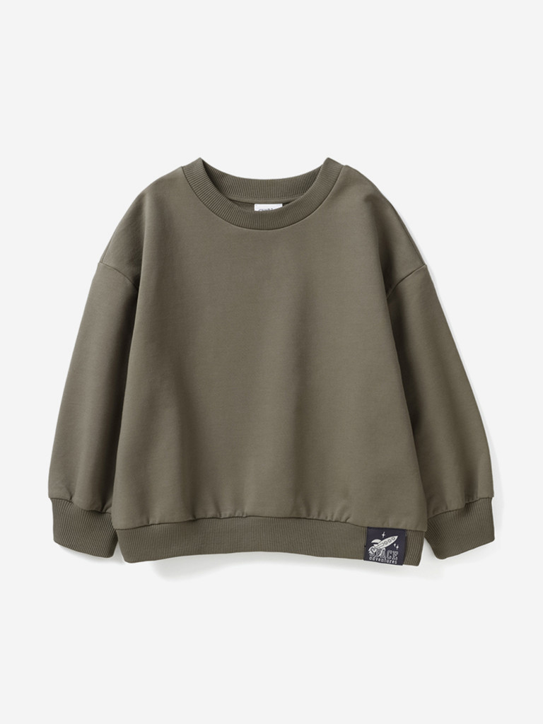 Свитшот для мальчиков Artie