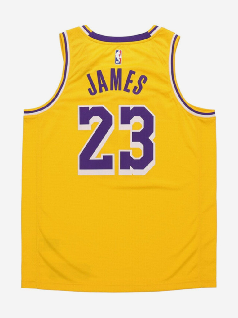 Майка баскетбольная Nike LeBron James Icon Swingman