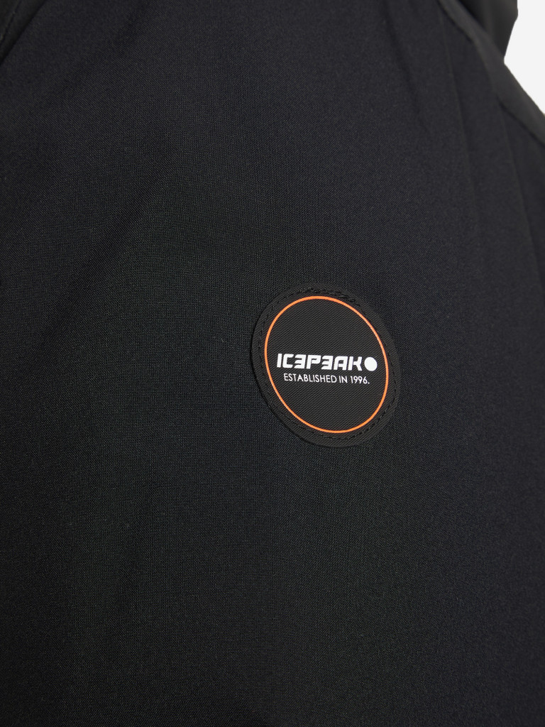 Куртка утепленная мужская IcePeak Yama